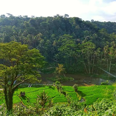 Puri Bunga Resort Ubud  Luaran gambar