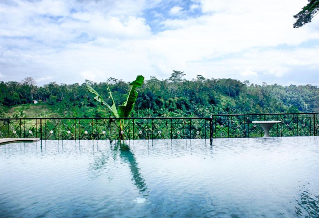 Puri Bunga Resort Ubud  Bilik gambar