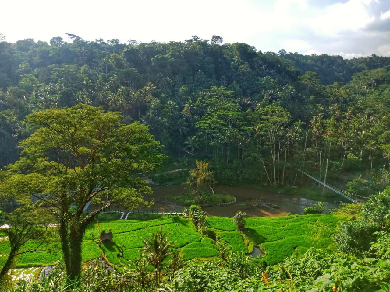 Puri Bunga Resort Ubud  Luaran gambar
